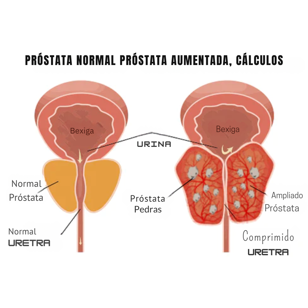 Português Português